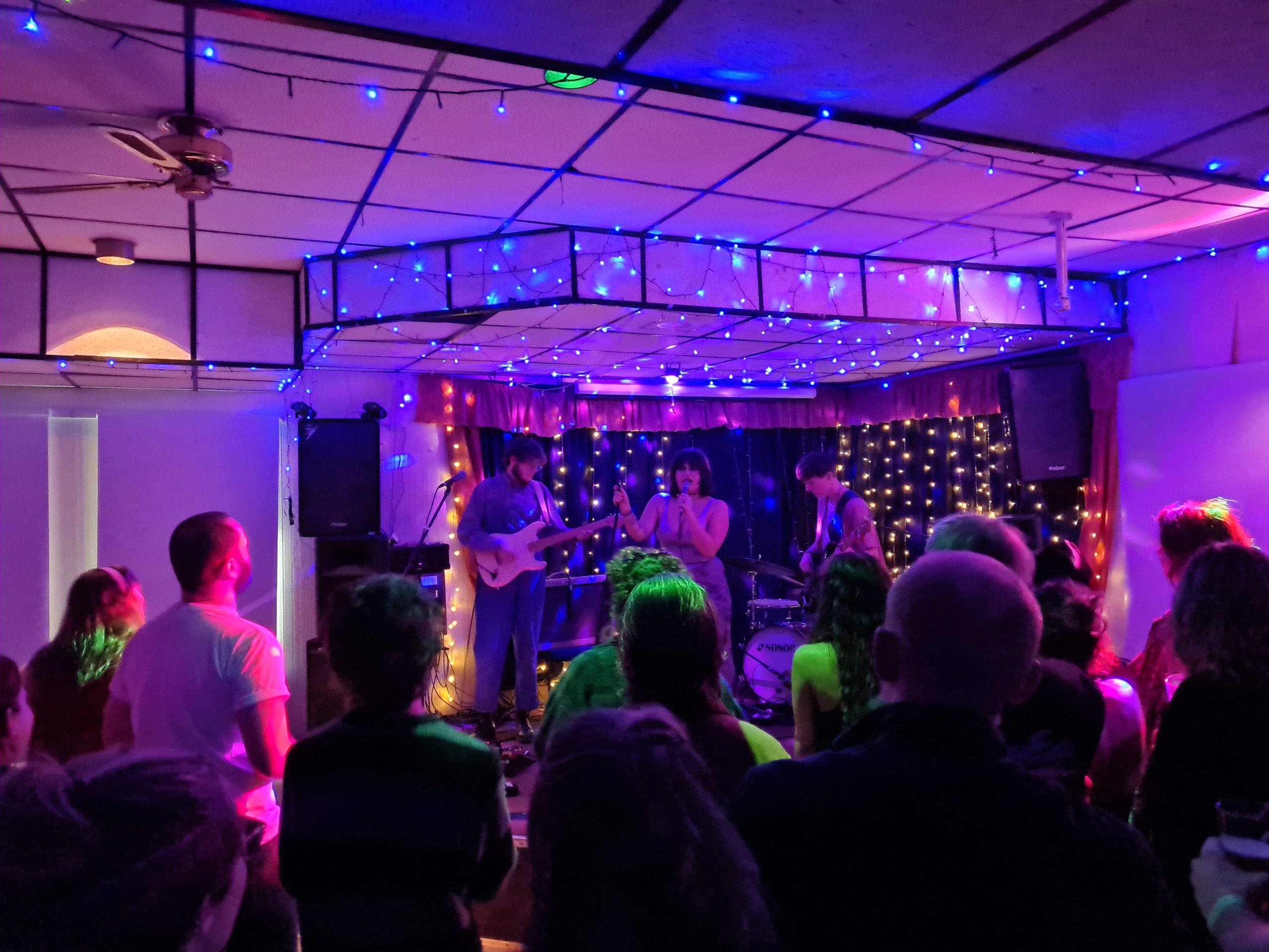 A crowd enjoying a fundraising gig under purple and pink lights