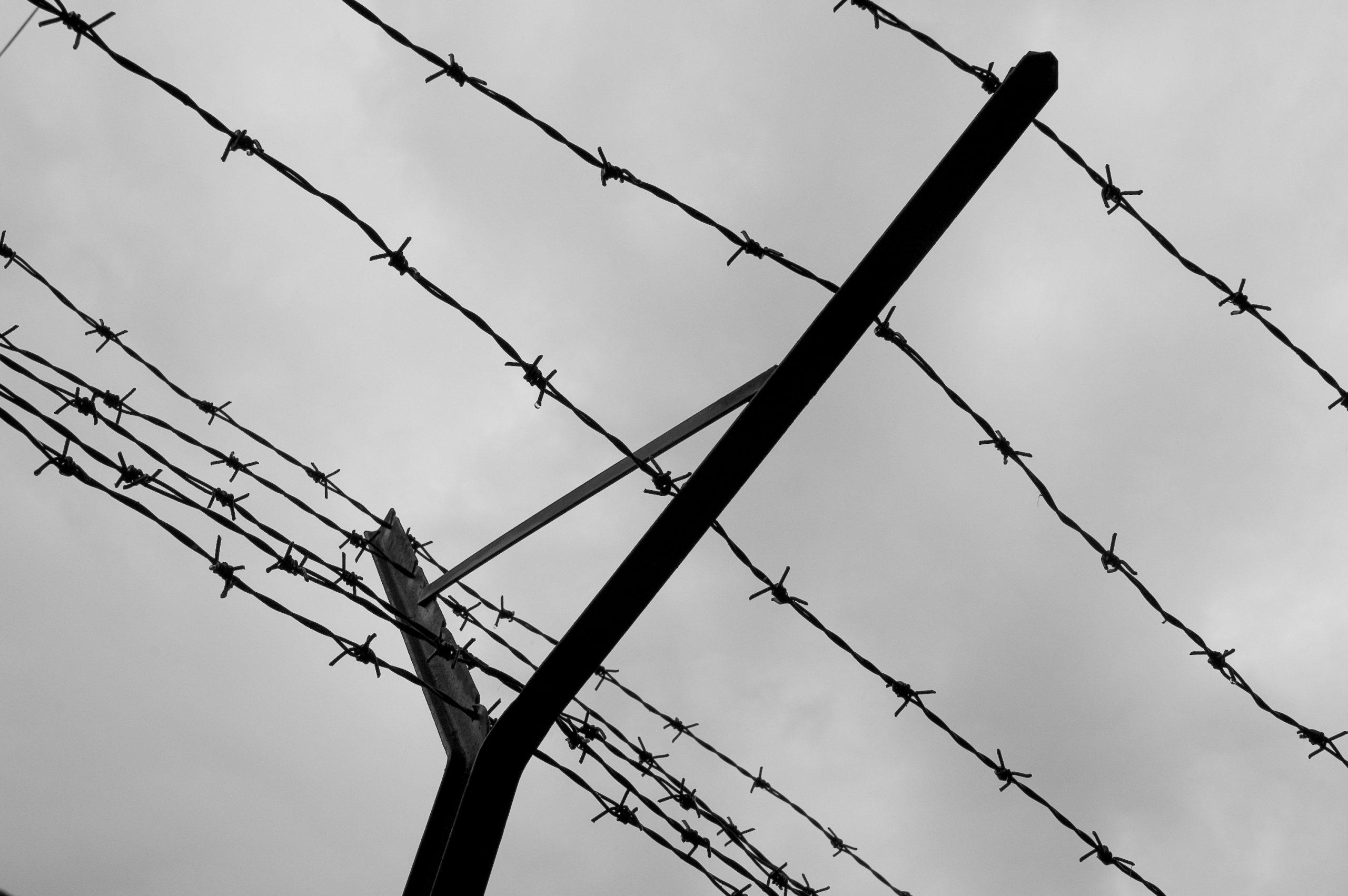 Barbed Wire copyright free Blog post: Manston Migrant Centre