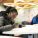 Woman writing notes at a community workshop in Cardiff Central Library.