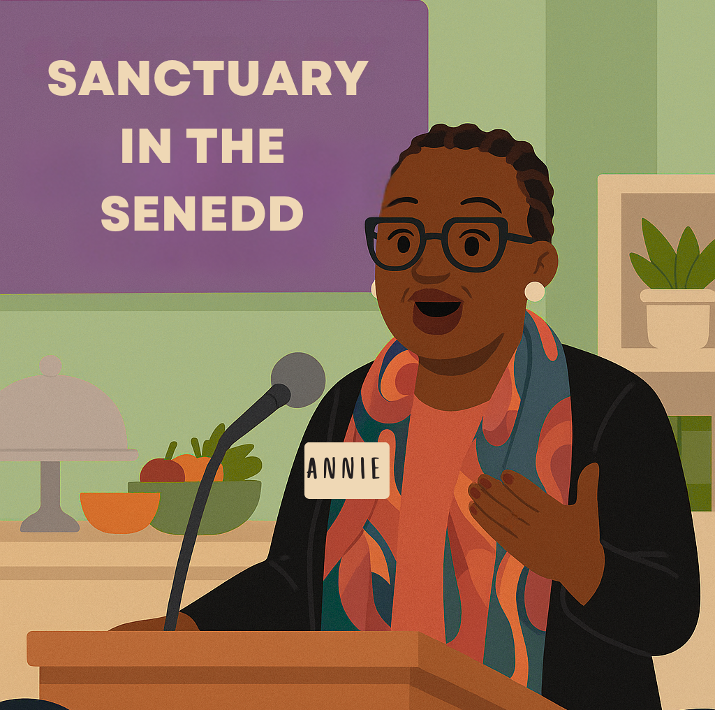 Vice Chair of the Sanctuary Coalition Cymru, speaking at an event.